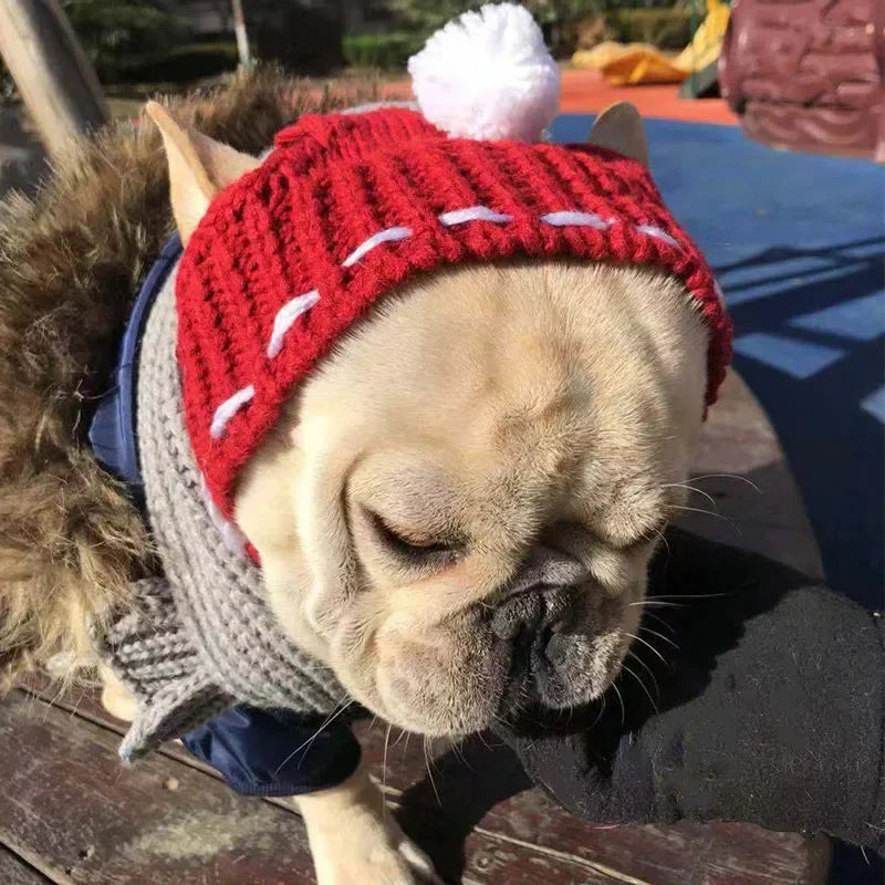 Winter Dog Cap Christmas