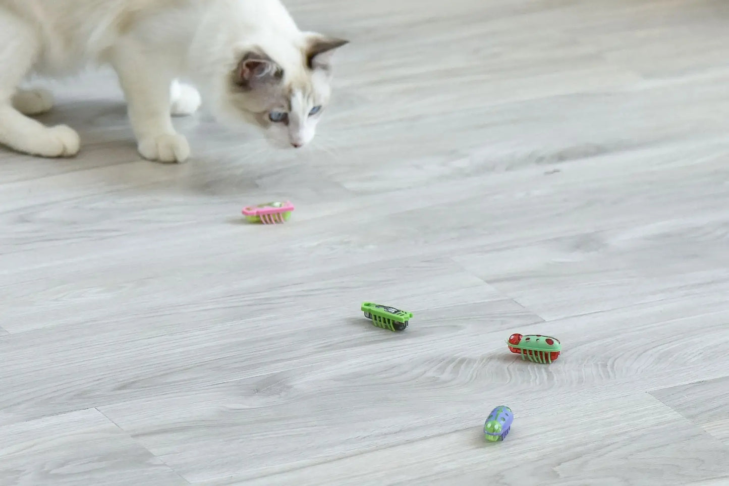 Automatic Vibration Cat Toy
