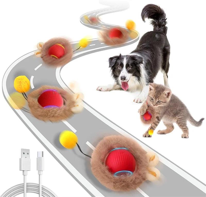 Interactive Cat Toy