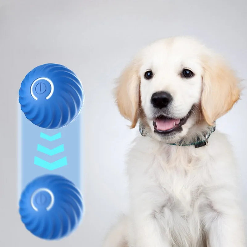 Pet Toy Ball Automatic Moving Dog Toy