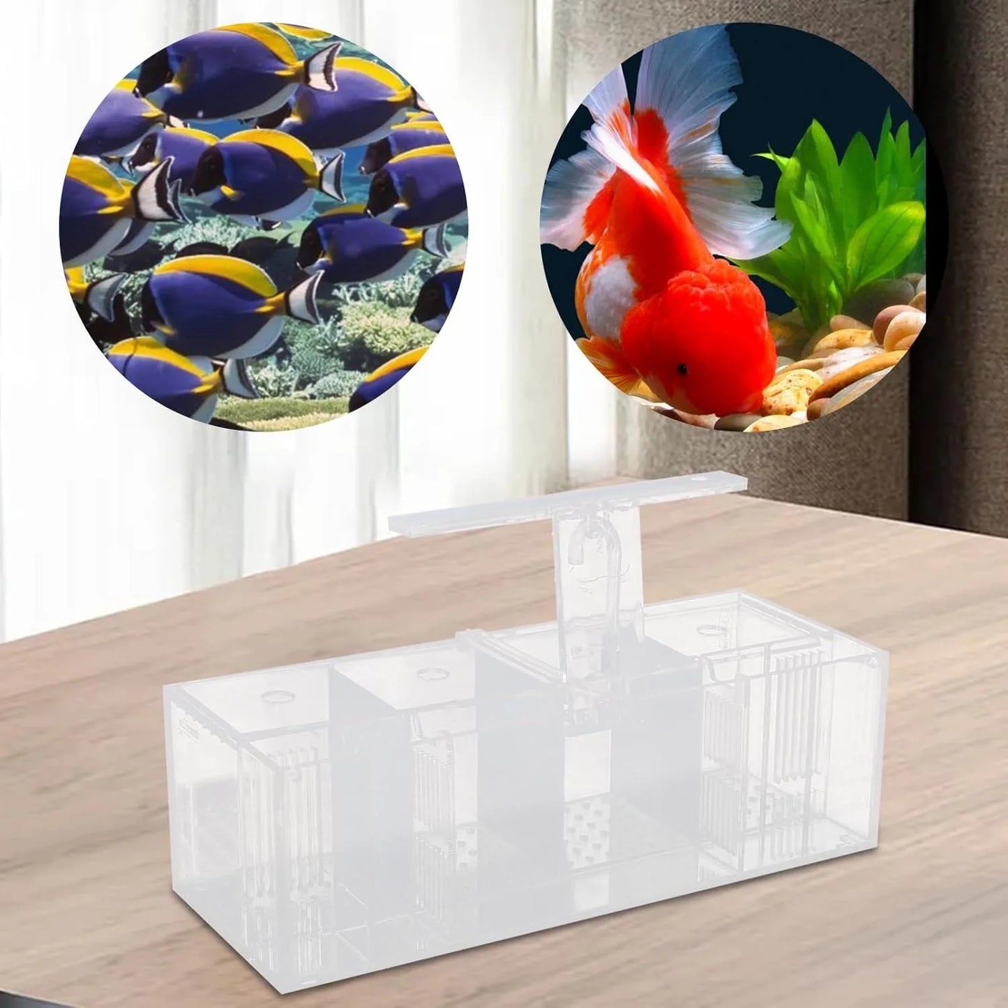 4 Grid Fish Tank, LED Small Fish