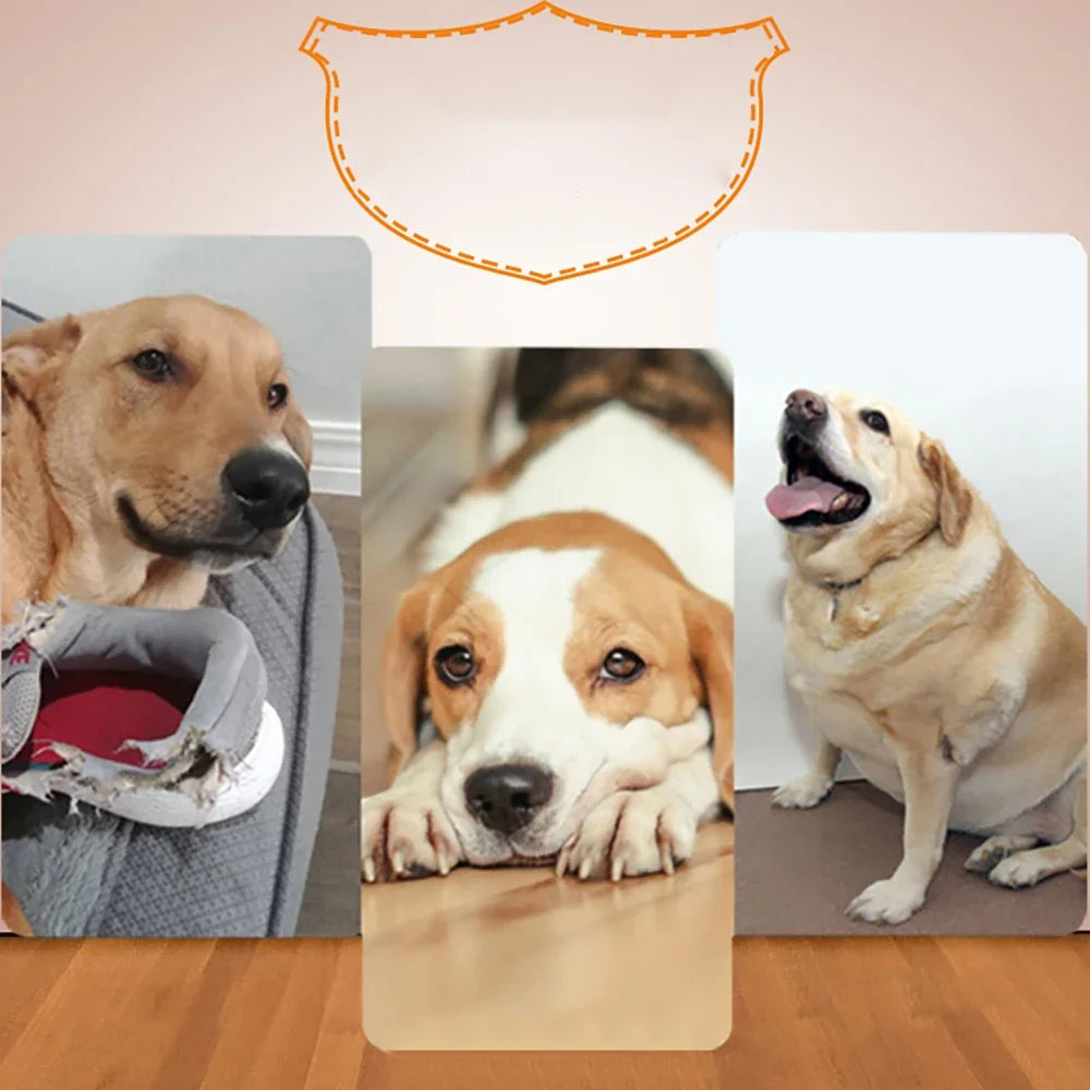 Ball Launcher Automatic For Dogs,