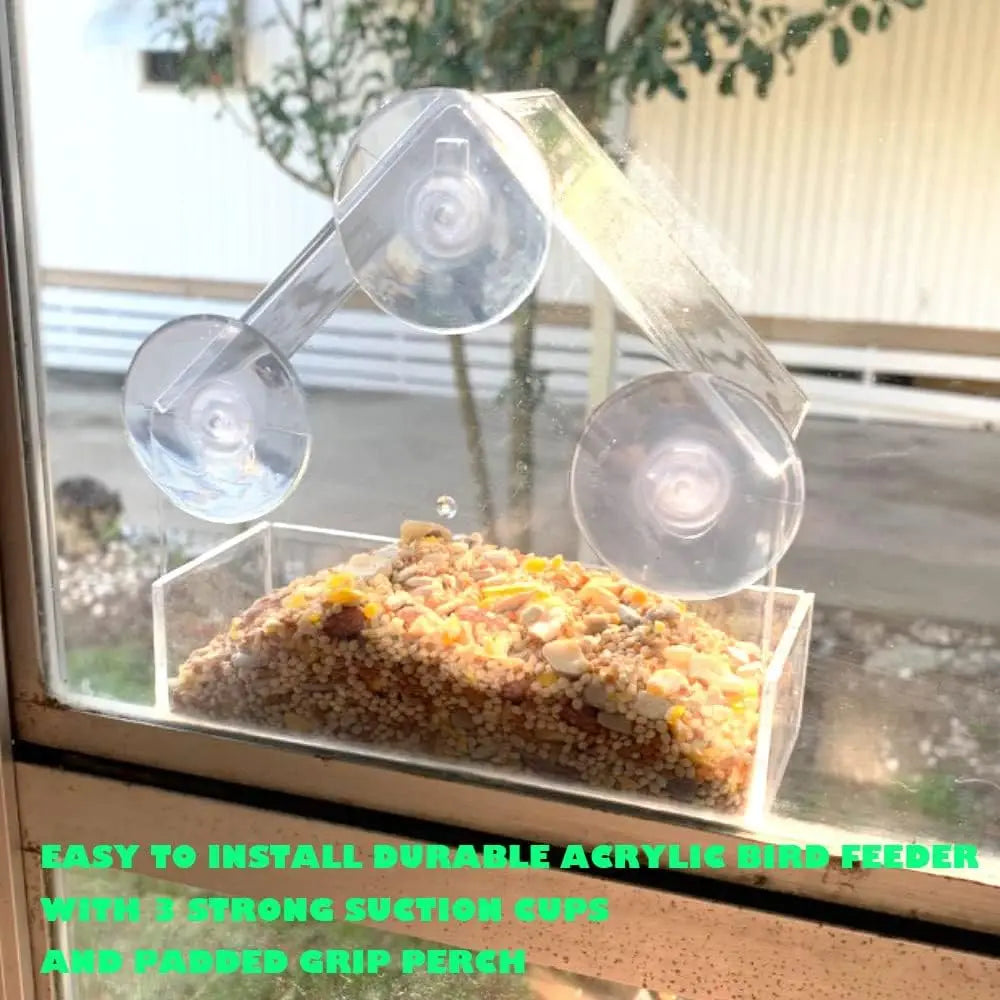 Bird Feeder Birds House