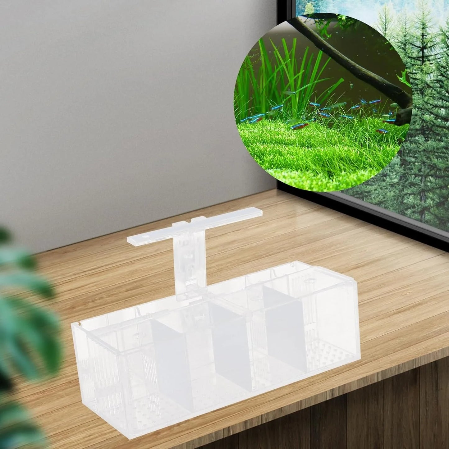 4 Grid Fish Tank, LED Small Fish