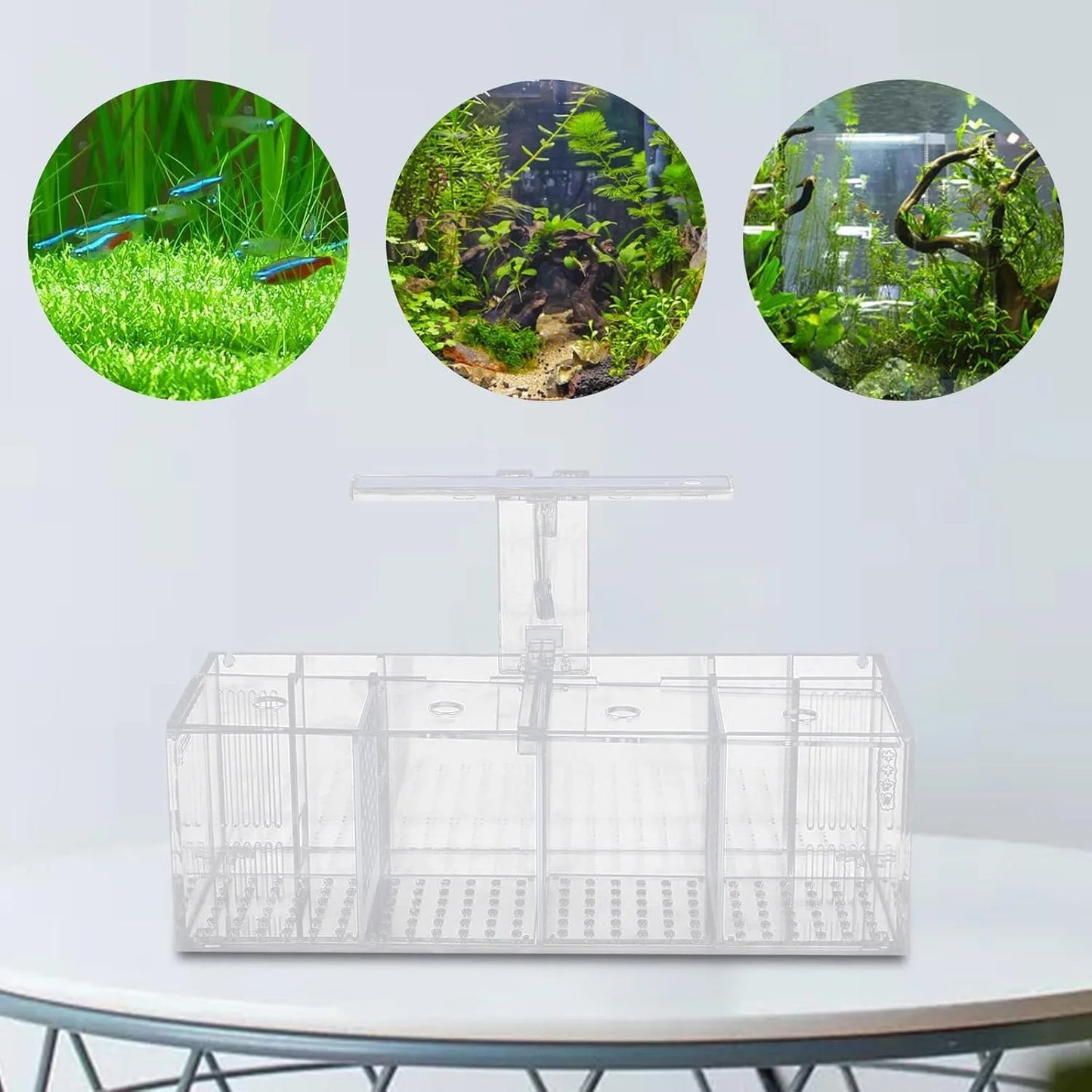 4 Grid Fish Tank, LED Small Fish