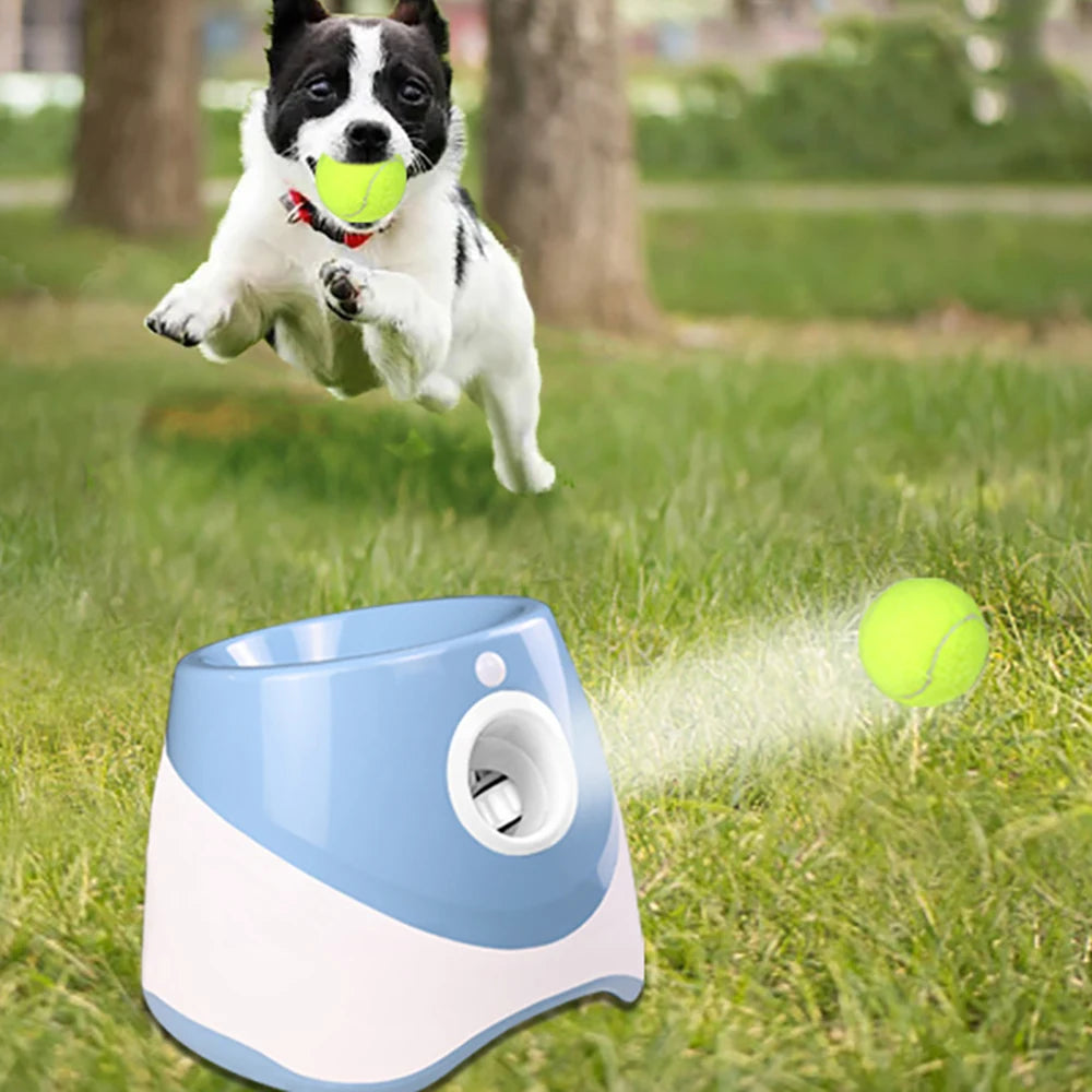Ball Launcher Automatic For Dogs,