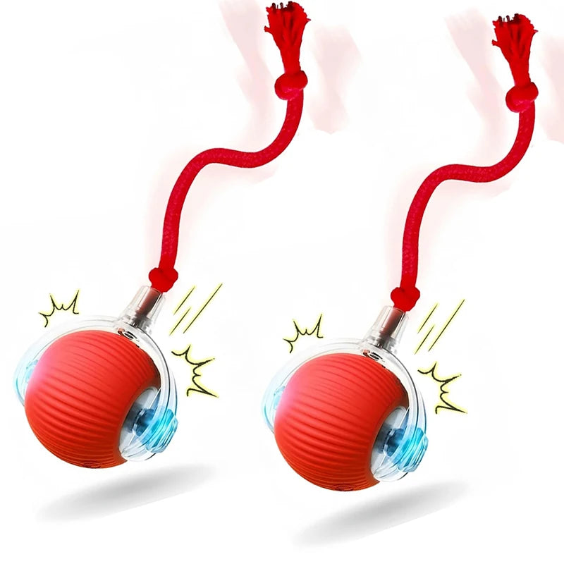 Interactive Cat Toy