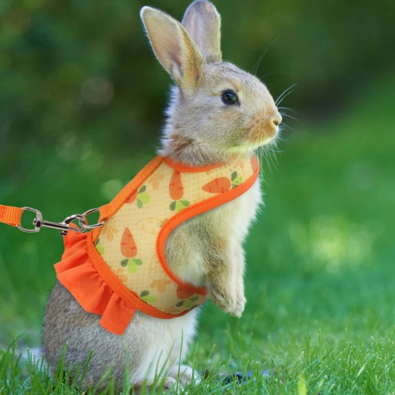 Rabbit Harness with Leash Cute