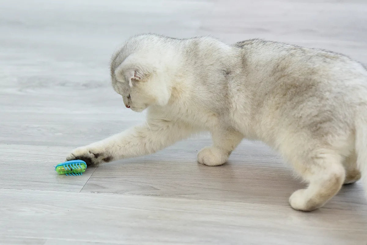 Automatic Vibration Cat Toy