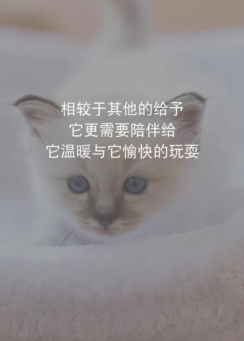 Automatic Vibration Cat Toy