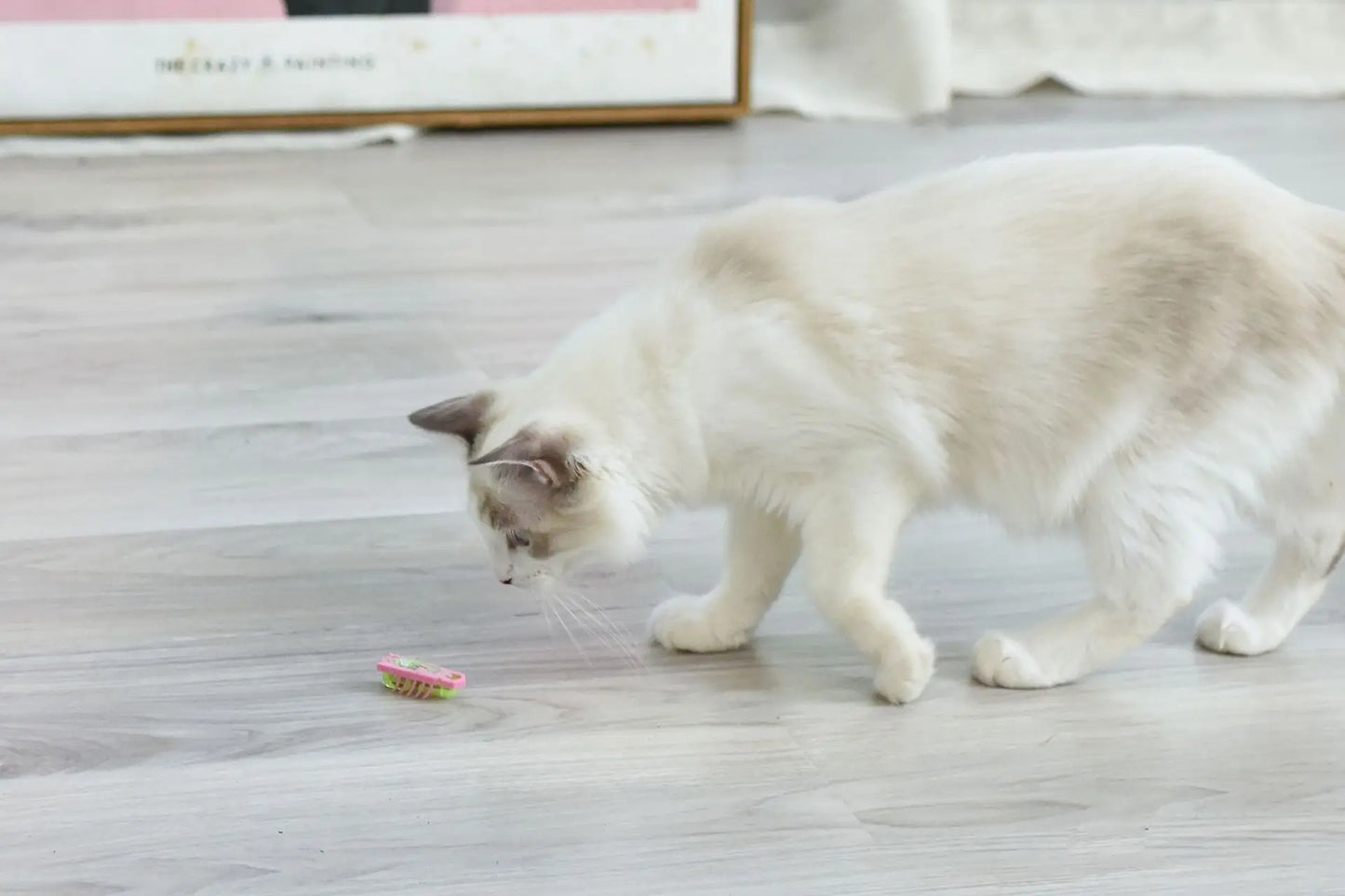 Automatic Vibration Cat Toy