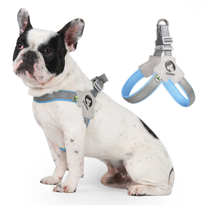 Reflective Pet Dog
