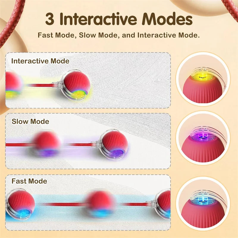 Interactive Cat Toy