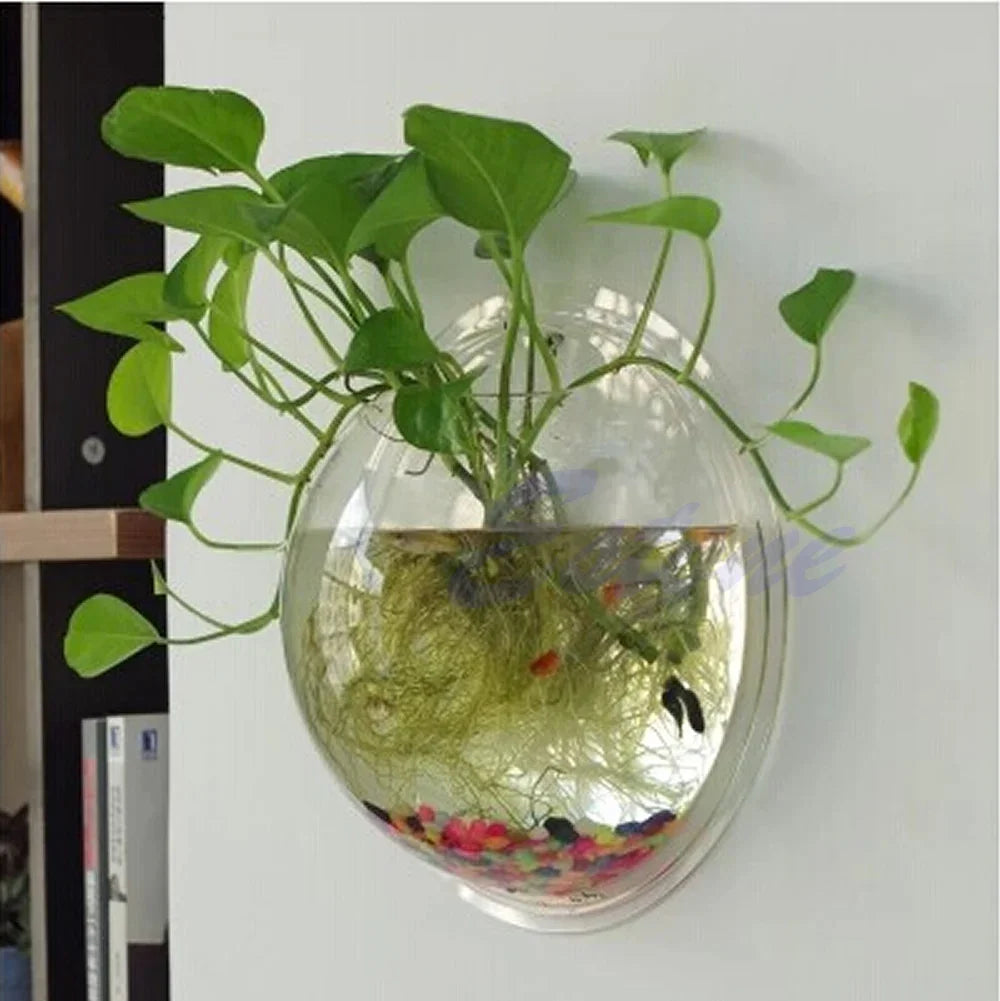 Pot Wall Hanging Mount Bubble
