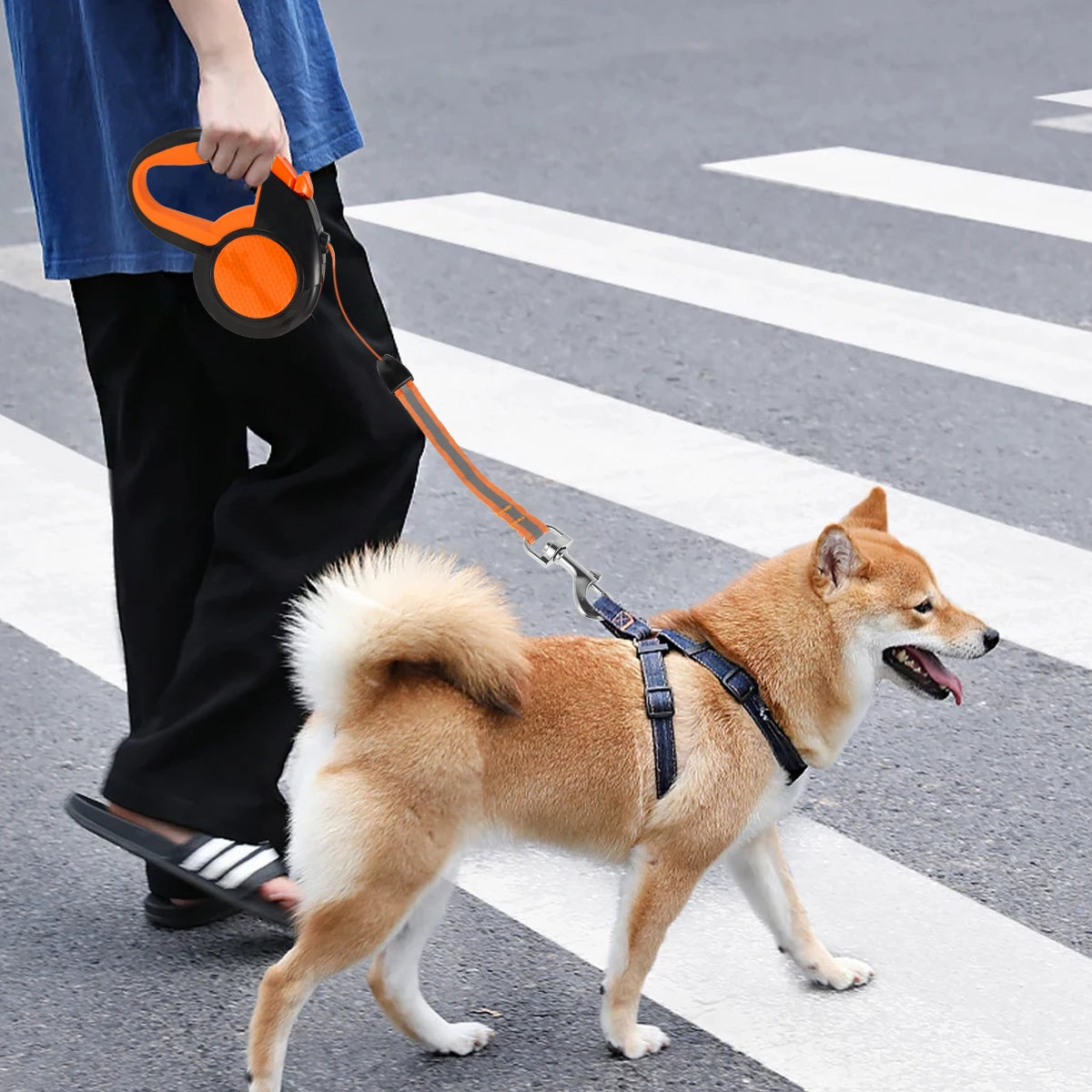 Hands Free Dog Leash
