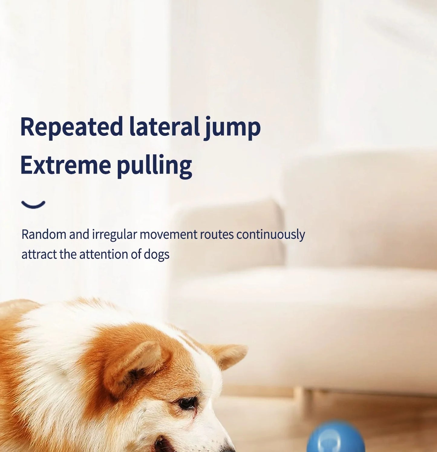 Smart Dog Toy Ball Automatic Electronic