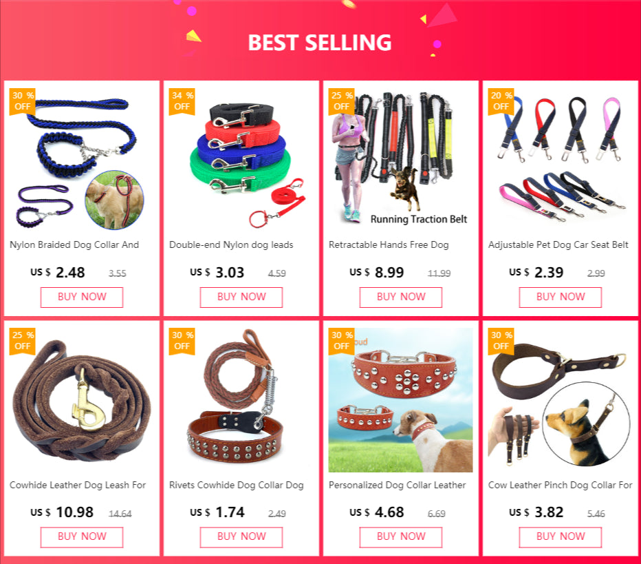 Safety Nylon Dog Leash