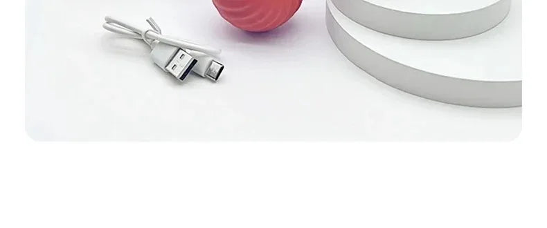 Smart Dog Toy Ball Automatic Electronic