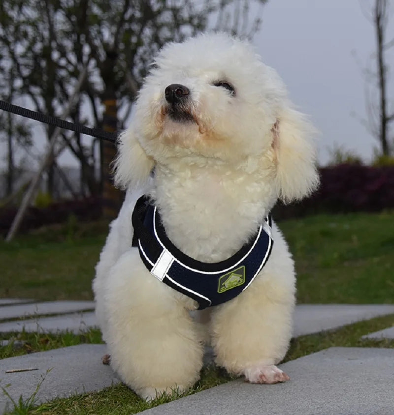 Reflective Pet Harness