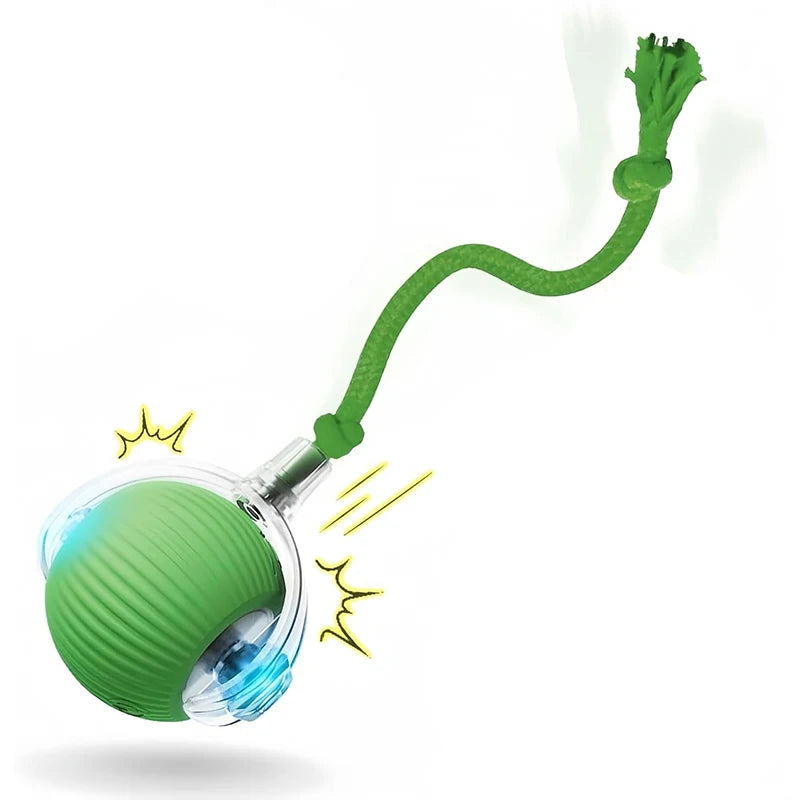 Interactive Cat Toy