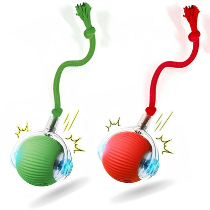 Interactive Cat Toy