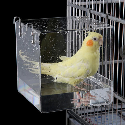 Transparent Acrylic Bird Bath Box