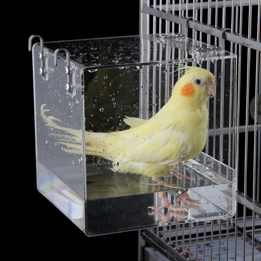 Transparent Acrylic Bird Bath Box
