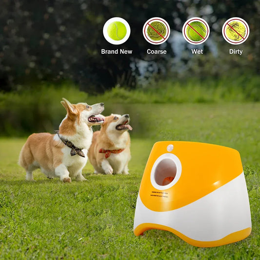Ball Launcher Automatic For Dogs,
