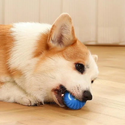 Pet Toy Ball Automatic Moving Dog Toy