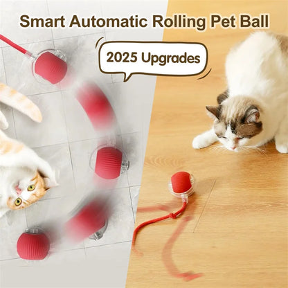 Interactive Cat Toy