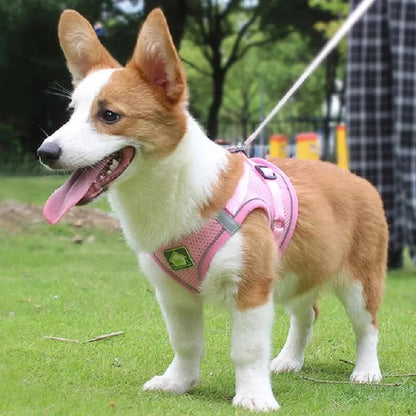 Reflective Pet Harness