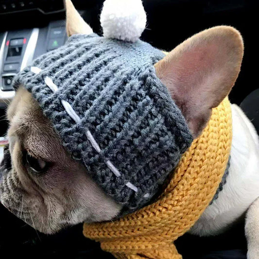 Winter Dog Cap Christmas