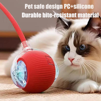 Interactive Cat Toy