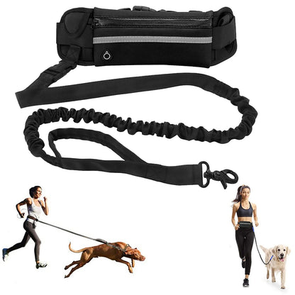 Hands Free Dog Leash