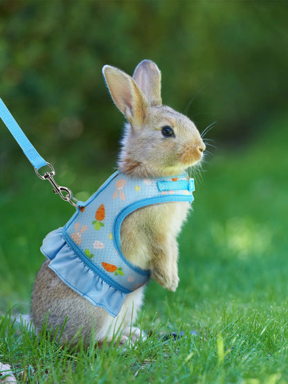 Rabbit Harness with Leash Cute