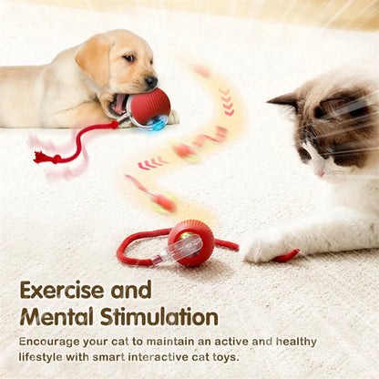 Interactive Cat Toy
