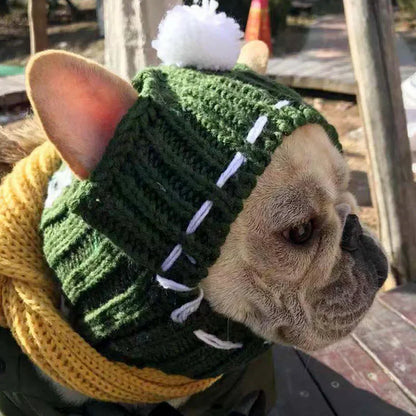 Winter Dog Cap Christmas