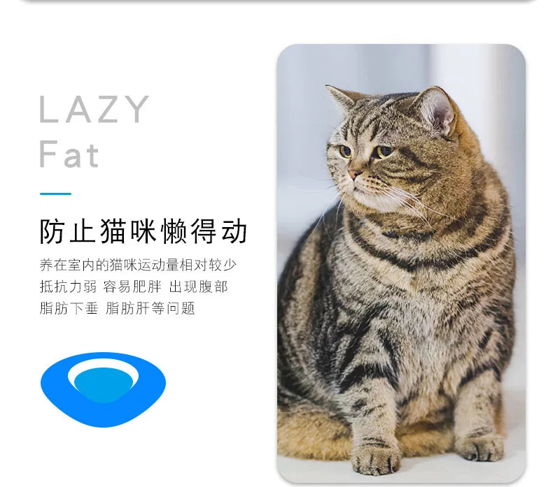 Automatic Vibration Cat Toy