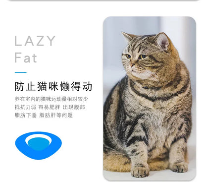 Automatic Vibration Cat Toy