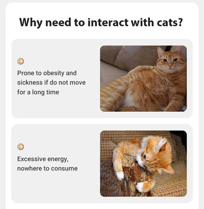 ROJECO Automatic Pet Toy