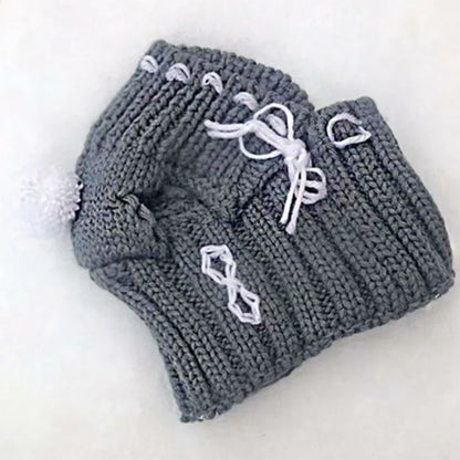 Winter Dog Cap Christmas