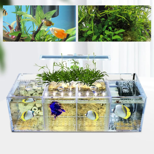 4 Grid Fish Tank, LED Small Fish