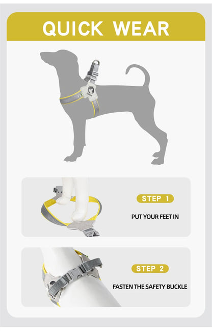 Reflective Pet Dog