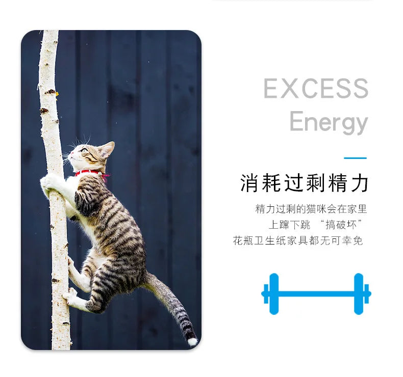 Automatic Vibration Cat Toy