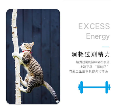 Automatic Vibration Cat Toy