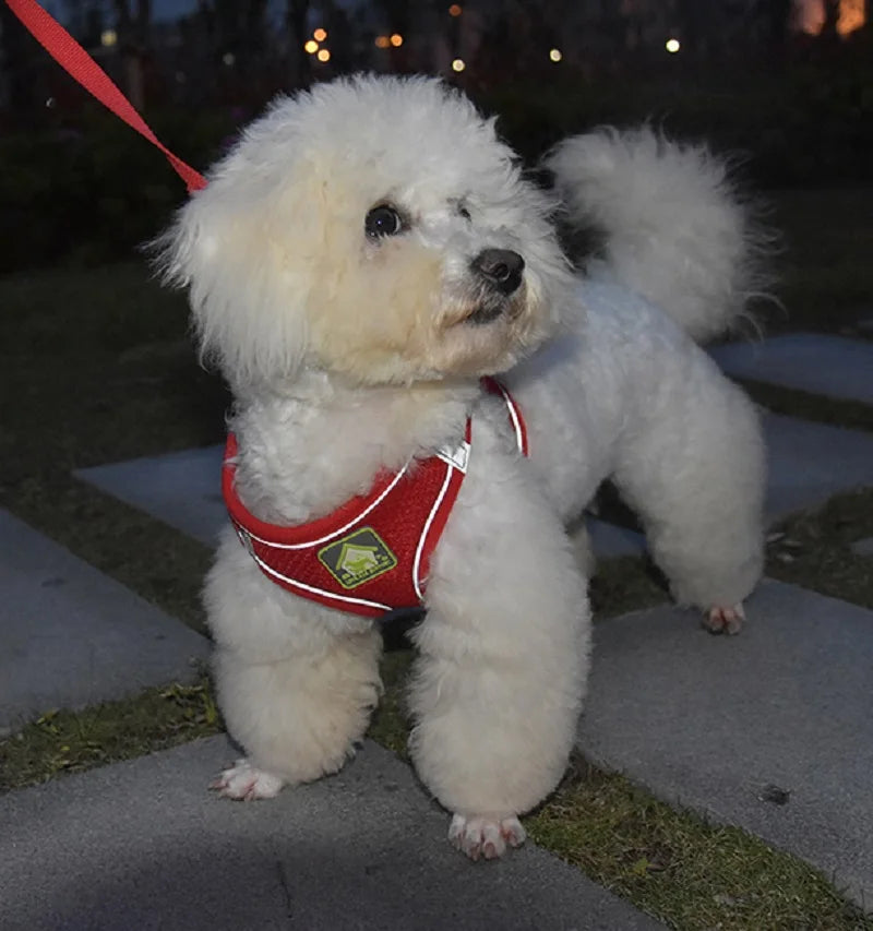 Reflective Pet Harness