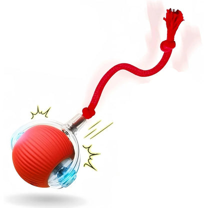 Interactive Cat Toy
