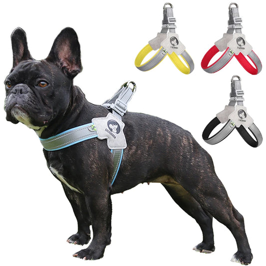 Reflective Pet Dog