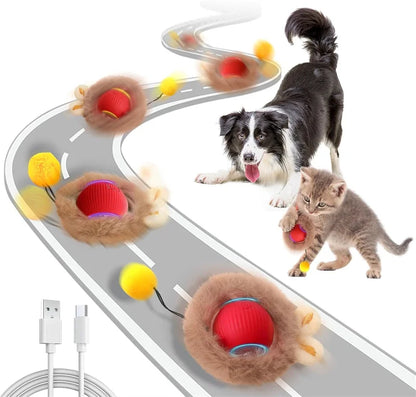 Interactive Cat Toy