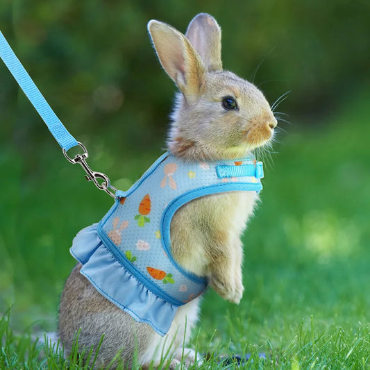 Rabbit Harness with Leash Cute